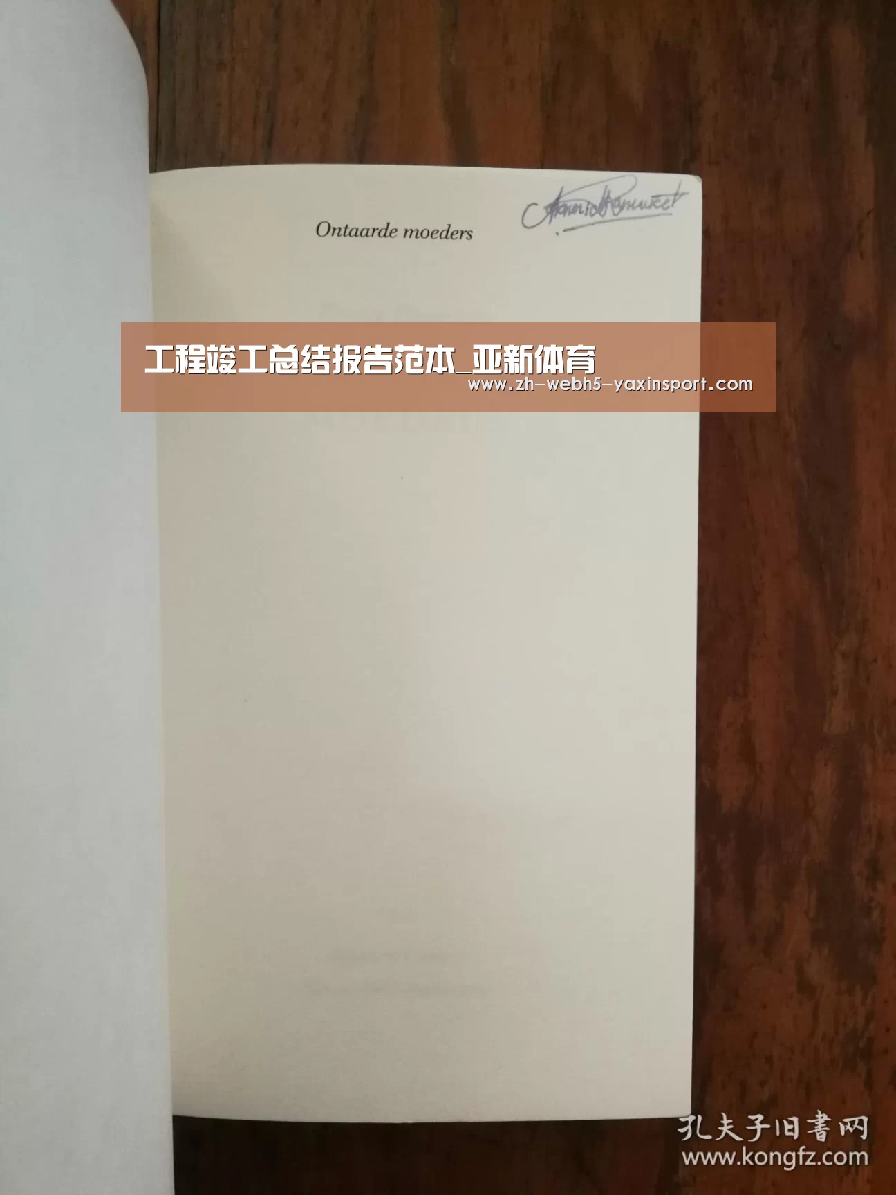 亚新网站