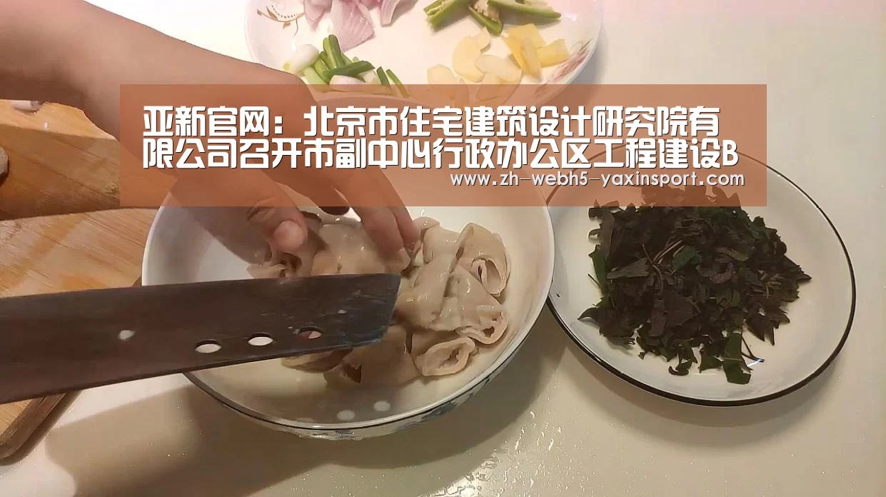 亚新官网：北京市住宅建筑设计研究院有限公司召开市副中心行政办公区工程建设BIM协同平台标准编制建筑施工组工作协调会(图3)