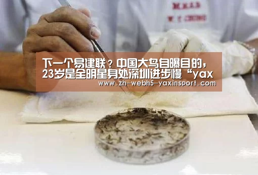 亚新网站