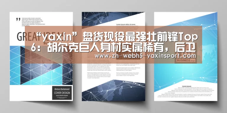 亚新网站