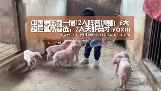中国男篮新一届12人阵容调整!6大超巨基本落选,2人天妒英才|yaxin(图4) 亚新app
